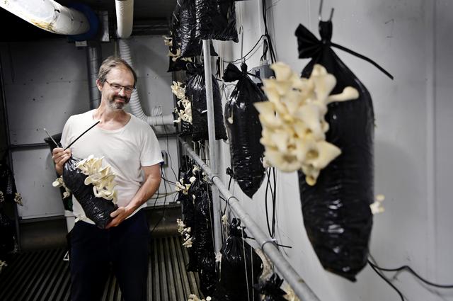 Av kaffesump, som hämtas på restauranger i Jönköping, har Stefan Lundvall skapat sin egen svampodling och ser en ljus framtid när pandemin är över. 