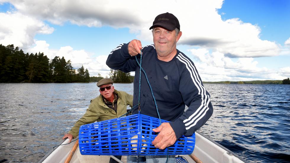 Sven-Olof Svensson, vid motorn och Mats Lindström konstaterar att dagens fångst av kräftor i sjön Hindsen blev riktigt lyckad. Men man ska vänta med att fiska dem tills i slutet av augusti och in i september, tipsar de.
