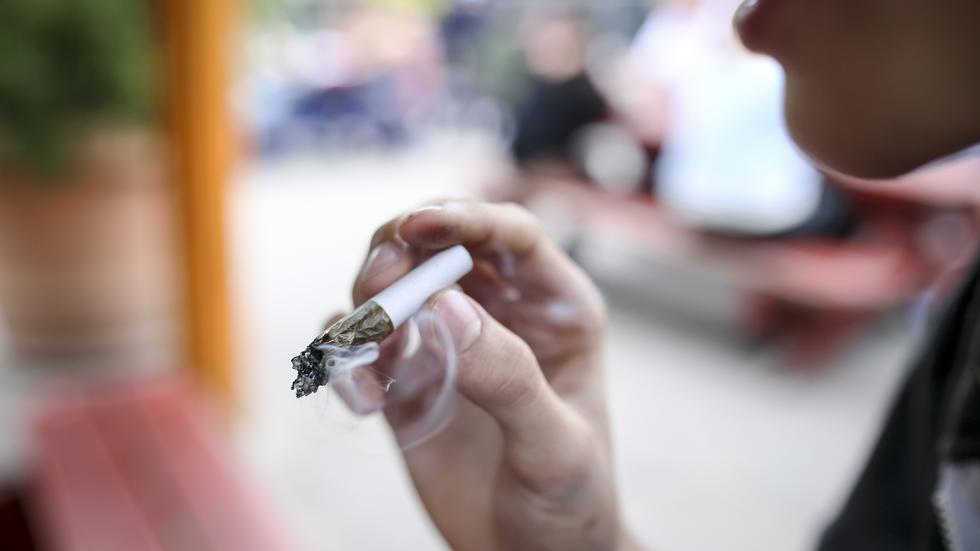 Priserna på hasch och marijuana steg under 2020. Foto: Helena Landstedt / TT