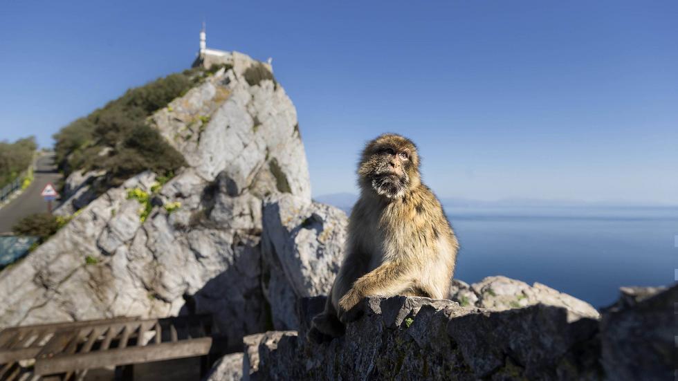 Gibraltar är en av de regioner som skulle kunna bli självständiga stater, skriver Gunnar Barkenhammar.