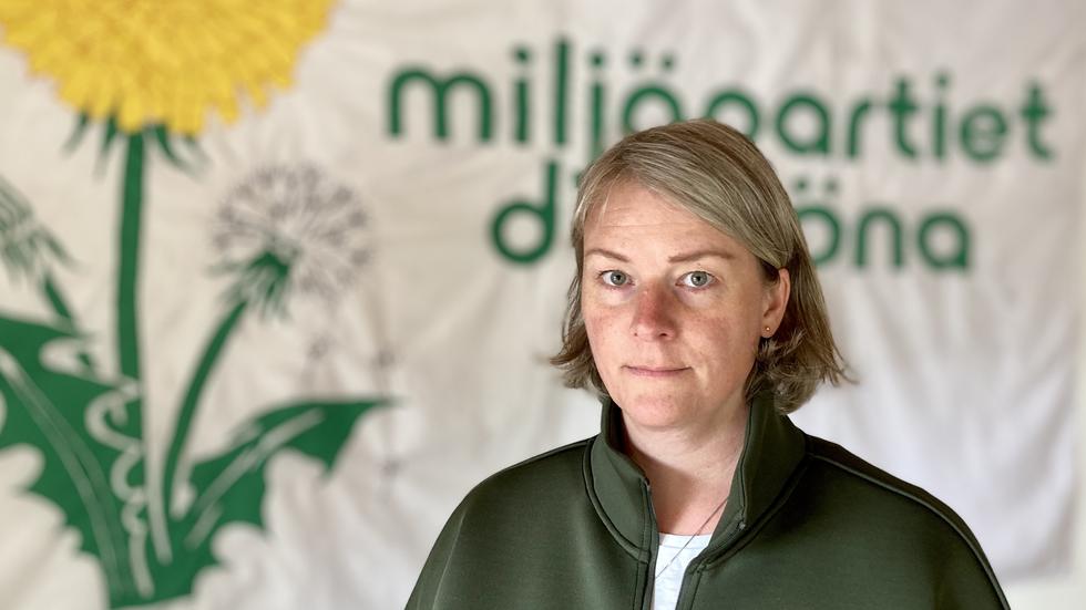 Anna Isaksson, Miljöpartiet i Mullsjö, berättar att partiet har polisanmält skadegörelsen.