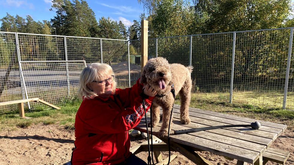 Verksamhetsledaren Maritha Bengtsson, och hunden Kosmo är två av dem som berörs av hur det går för hunddagiset.