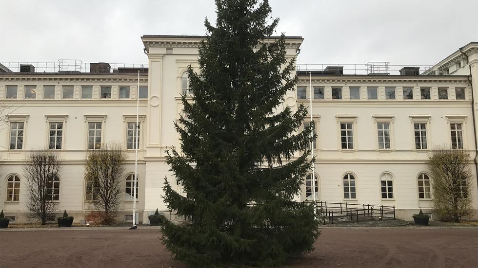 Julgranen i Råhusparken är på plats. Nu saknas bara ljusslingorna. 