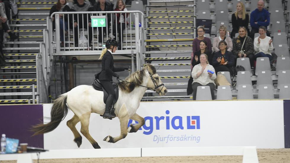 Petronella Davidsson och Birk showade loss på Champagnetölten på Jönköping Horse Show. 