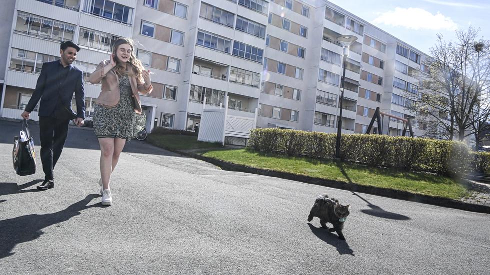 Sahar Gul Shirzad  och Alexandra Lisa Jackson, på Ekhagen, håller på att starta upp Sveriges tredje kattkafé. Här ses de med sin ögonsten, katten Findus.