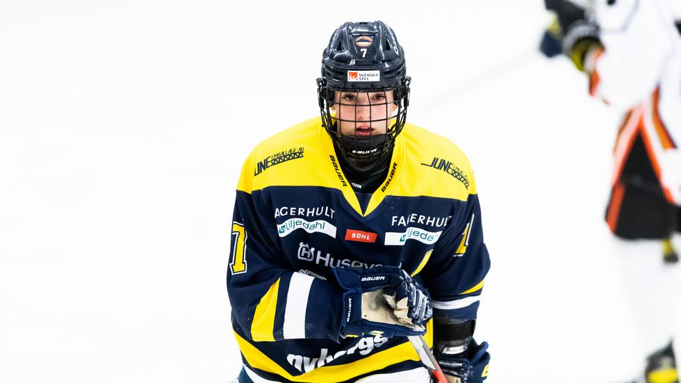 Thea Johansson från Ljungby kom till HV71 från Troja-Ljungby under säsongen 2016-2017 och den gångna säsongen var hennes sjätte i klubben. 