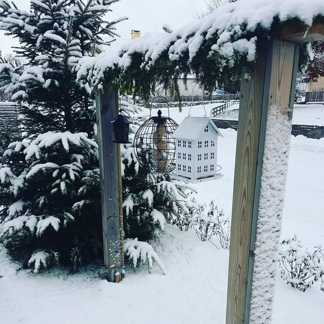 Hos Linda Julsgård i Lekeryd finns mat till småfåglarna nu när det blivit kallare och snöigare. Foto: Linda Julsgård