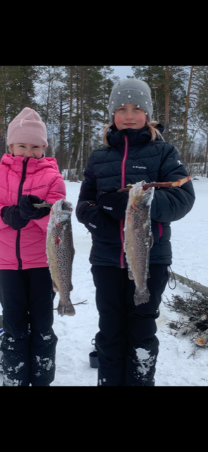 Pimpelligans femte vecka nu kommer fiskevädret  Tidningen  