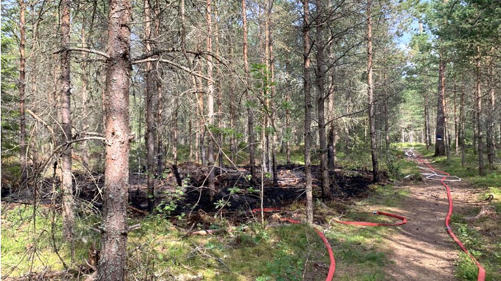 Släckningsarbete  efter en av de två anlagda skogsbränderna utanför Mullsjö 9 augusti 2020. Bilden är från den första branden en dryg kilometer söder om den andra brandplatsen. Foto: Polisens förundersökning