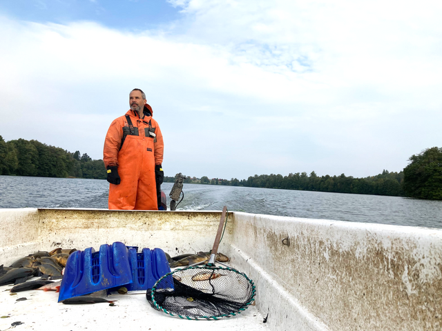 Magnus Böklin, fiskevårdare på Klart vatten, blickar ut på Barnarpasjön. Fiskarna i båten kommer att slängas i en större container och sedan köras iväg till biogasproduktionen.