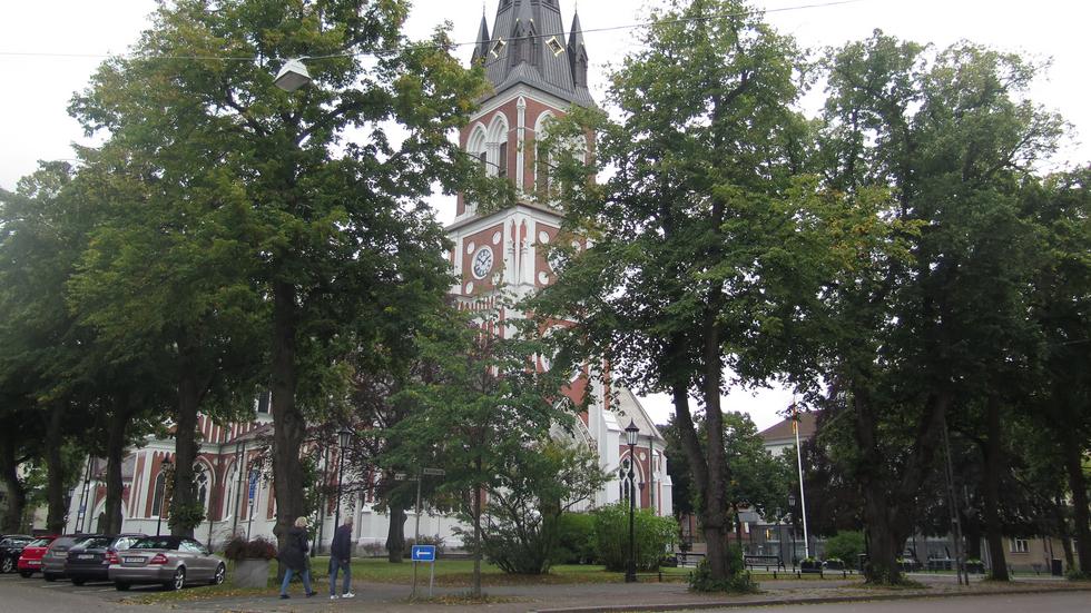 Flertalet av lindarna vid Sofiakyrkan är över 130 år gamla. Nu ska de räddas för framtida generationer. 