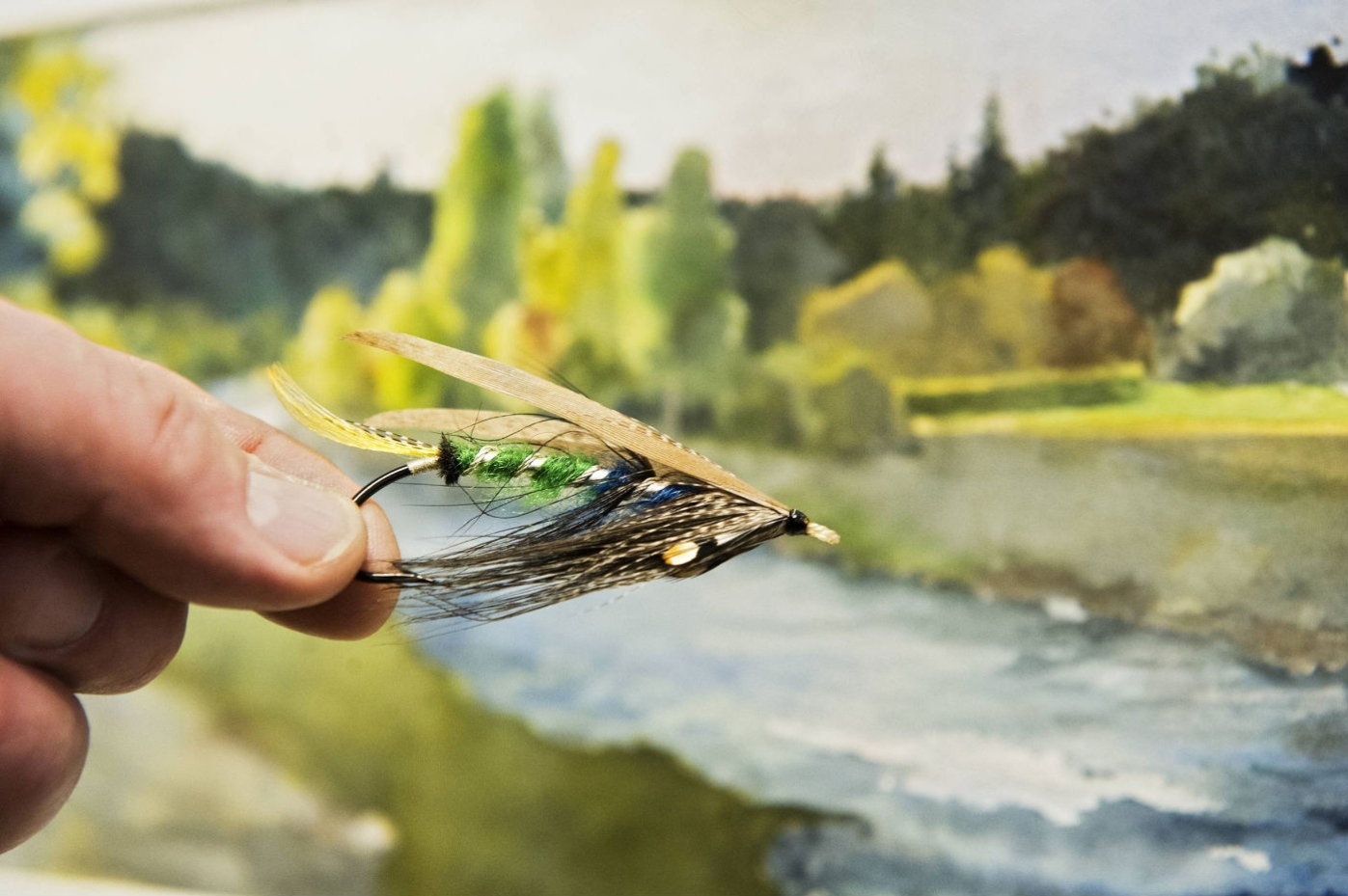 Tied in the Hand: Odyssey of a Salmon
