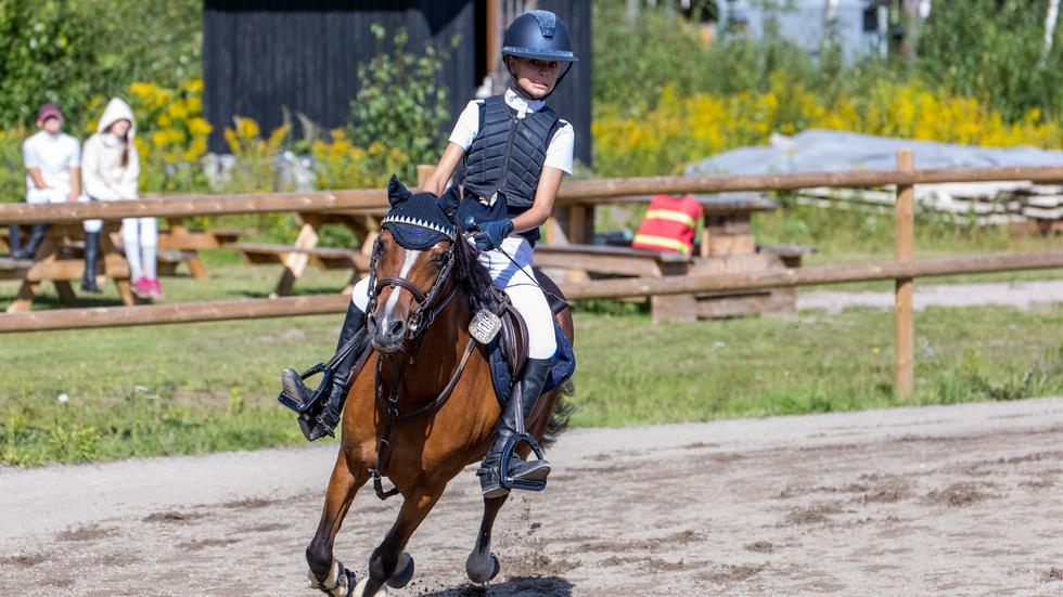 11-åriga hästhopparen Holly Pettersson och hennes ponny Penucha Olympian tävlar i Agria pony trophy till helgen. Foto: Privat
