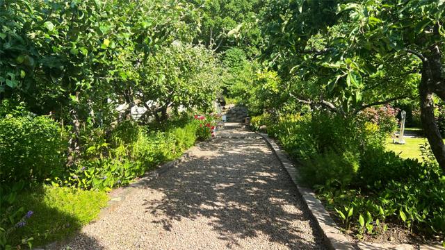 Claes blomstrande trädgård med äppelallé.
