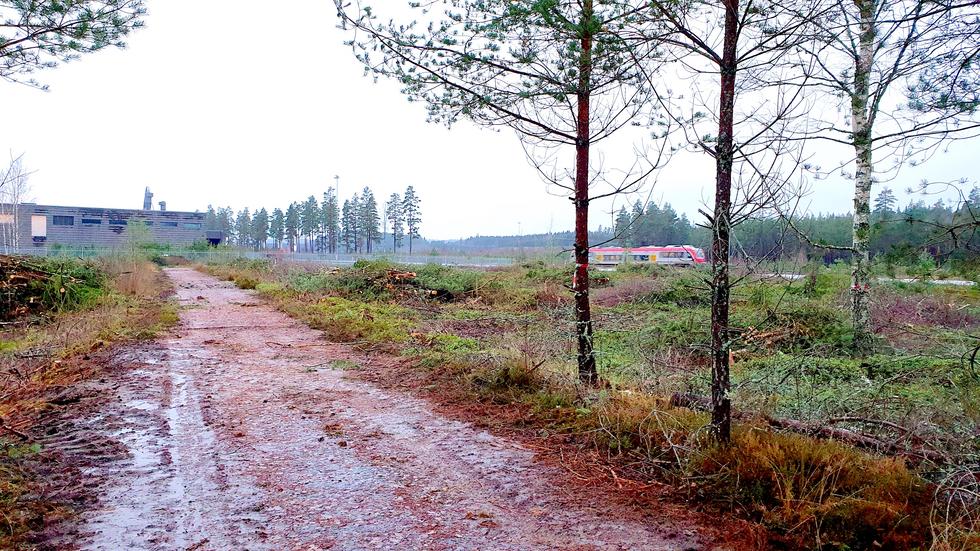 Här, runt resterna av gamla E4 norr om Strömslunds industrier i konkurs, har det kapats ner skog.