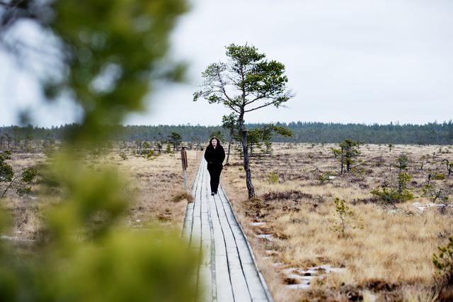Många Jönköpingsbor vandrar längs Dumme mosse-plankorna på helgerna – ett populärt friluftshål året runt. FOTO: Pär Grännö.