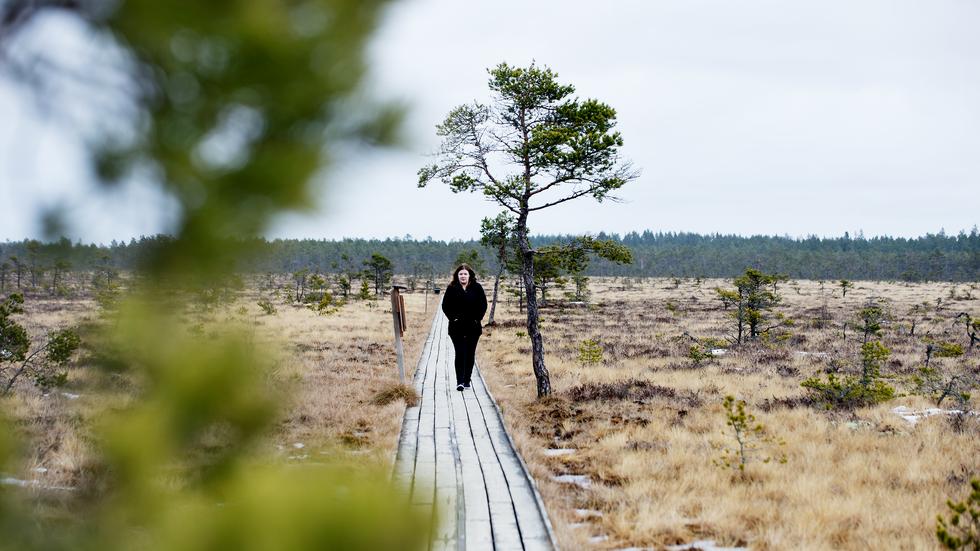 De största neddragningarna väntas ske inom skötsel och förvaltning av naturreservat. På bilden syns Dumme Mosse, strax väster om Jönköping.