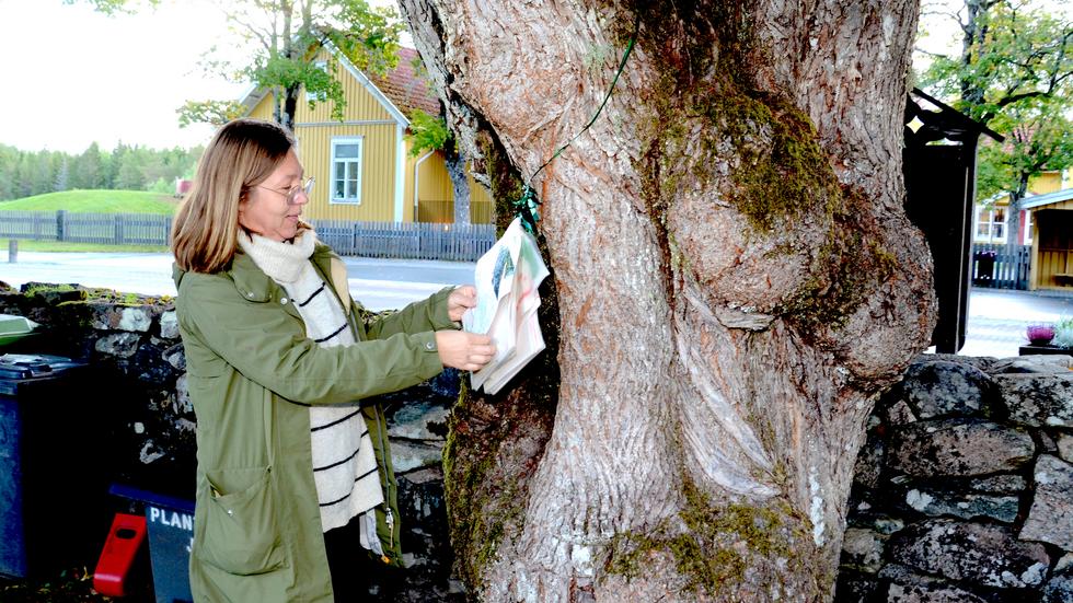 Camilla Ohlsson, som är pedagog, berättar om barnen från Byarums skola, på andra sidan vägen, som brukar komma för att hälsa på ”mag-trädet”.