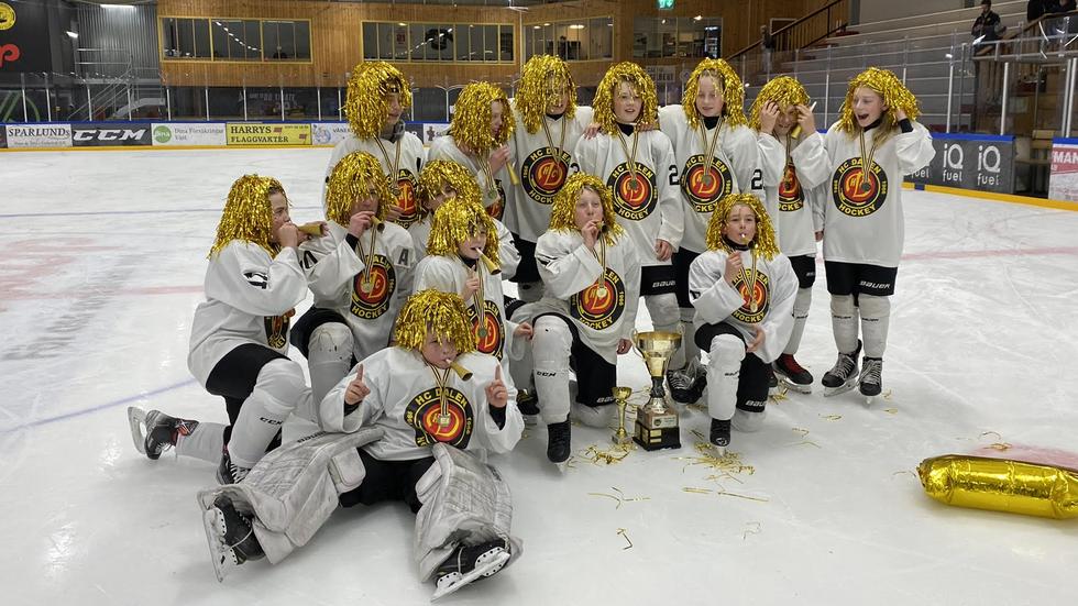 HC Dalens U13 spelade i helgen cup i Vänersborg där de ställdes mot HV71 i finalen och vann med 3–1.