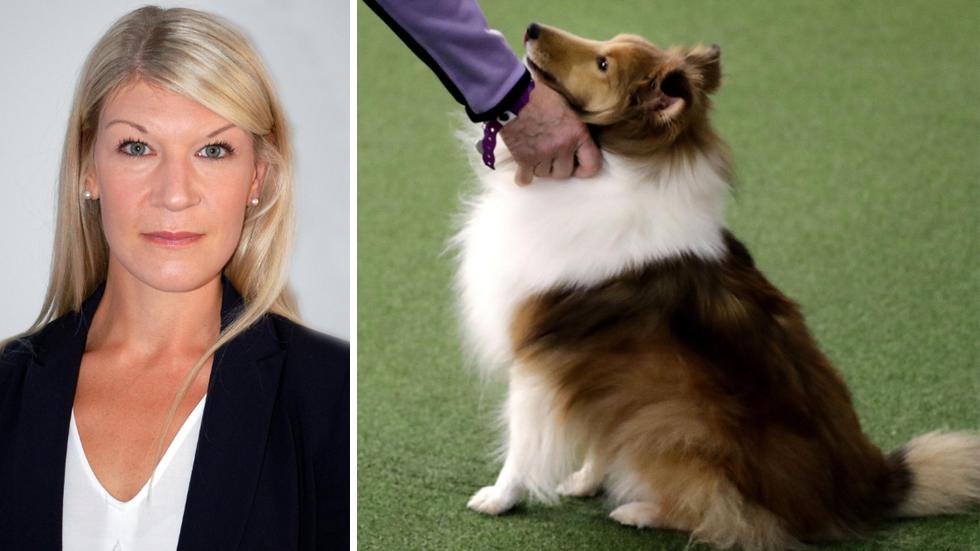Till vänster: Åklagare Emma Harrius. Till höger: En hund av rasen shetland sheepdog. Hunden på bilden har inget med händelsen i sig att göra.
