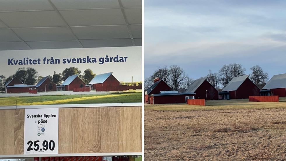 I livsmedelsjättens kampanj skulle man belysa att svenska leverantörer stöttas. Men ”bondgården” visade sig vara ett konstmuseum. 