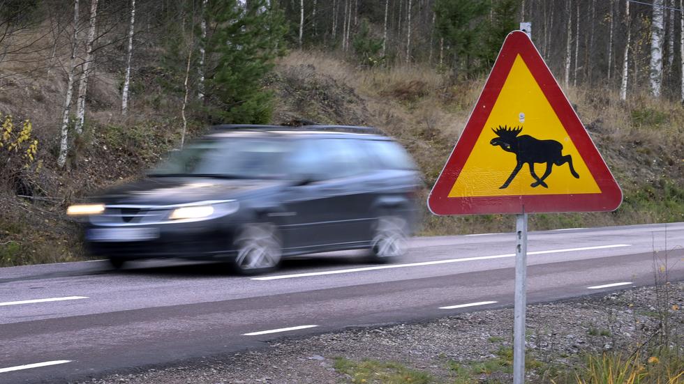 Flera viltolyckor har skett under natten i Jönköpings län.