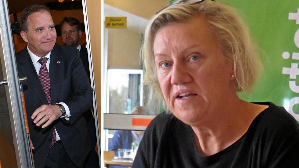 Regeringskrisen gör nu att Carina Ödebrink och sex andra svenska parlamentariker kallas hem för att kunna delta i måndagens misstroendeomröstning.