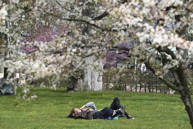 Tyra Sjöholm och Alex Forsén lapar sol medans vårblomster lämnar sina grenar i lunchbrisen.