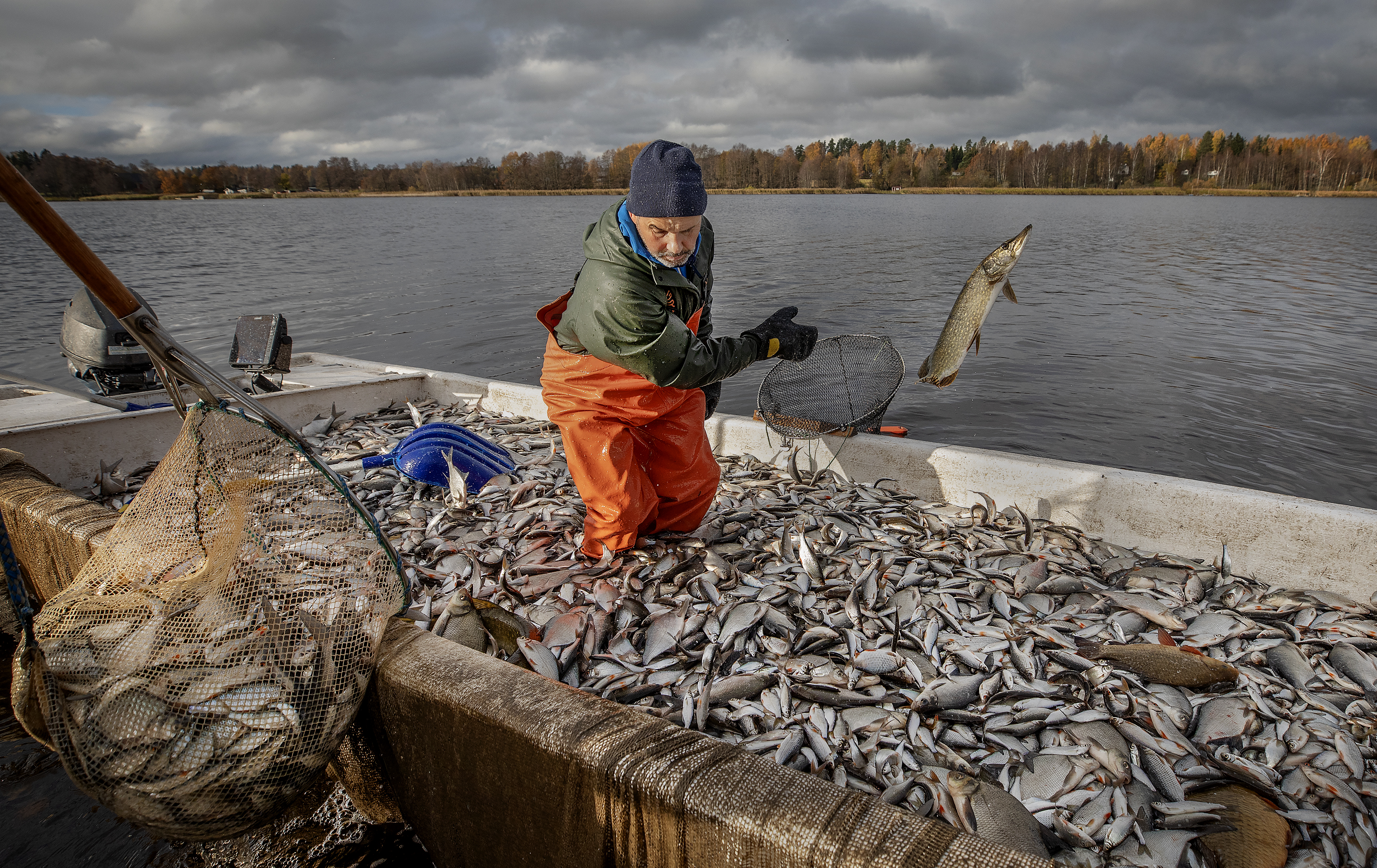 Allroundfiske - Prylar för att kunna fiska flera arter »  -  Fiskebutik