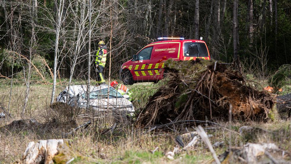En personbil körde under eftermiddagen in i ett träd utanför Sundhultsbrunn i Aneby kommun.