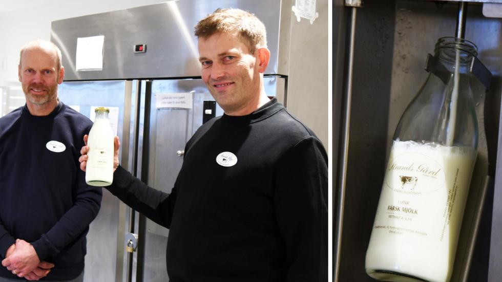 Bröderna Lars och Johan Nilsson öppnar butik i Gisebo med egen gårdsmjölk.