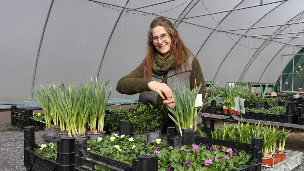 Mikaela Mannbrink, som är utbildad trädgårdsmästare och trädgårdsanläggare, brinner för att arbeta med växter. Det är hennes stora passion.