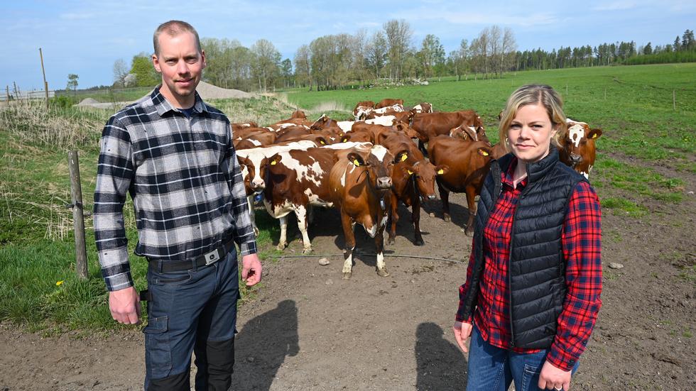 David och Annika Werthén, som driver Werthéns lantbruks AB, får utmärkelsen Årets företagare i Habo kommun år 2023. 