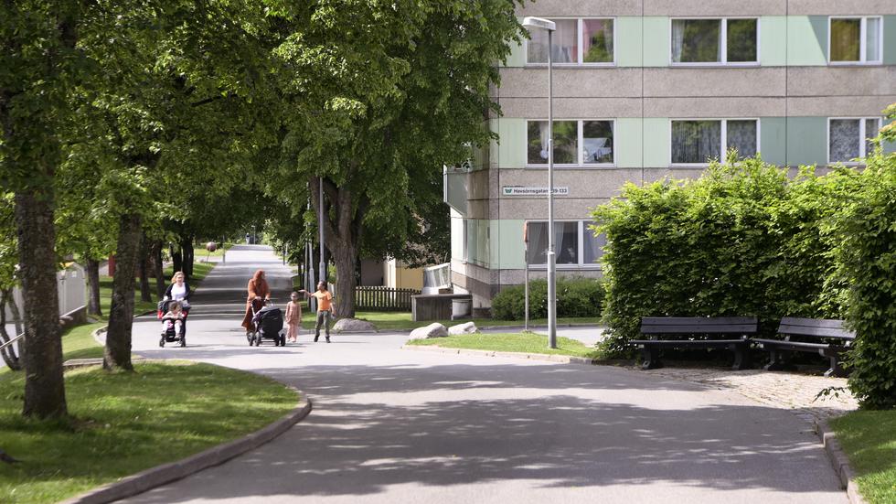 5 686 personer bodde på Råslätt vid årsskiftet. Nio av tio bor i hyresrätt och mer än sju av tio har utländsk bakgrund. 