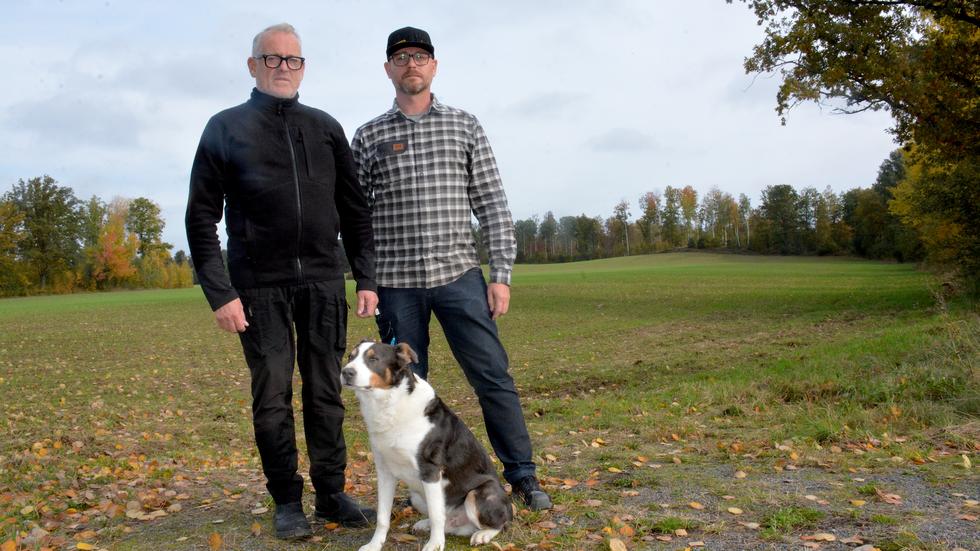 Bengt och Martin Johansson, ägare av Bränninge Gård, står vid Stormagärdet där de nu vill låta bygga uppemot 300 bostäder. 