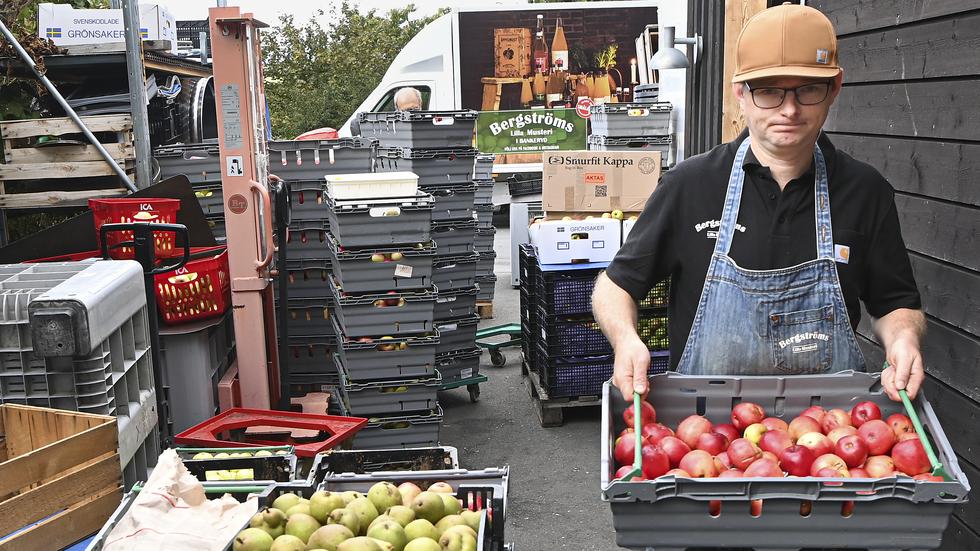 Johan Bergström staplar och namnar de äpplen som lämnas in under dagen. ”Det är viktigt med ordning då kunderna ska få tillbaka must från just sina inlämnade äpplen”, säger Johan.