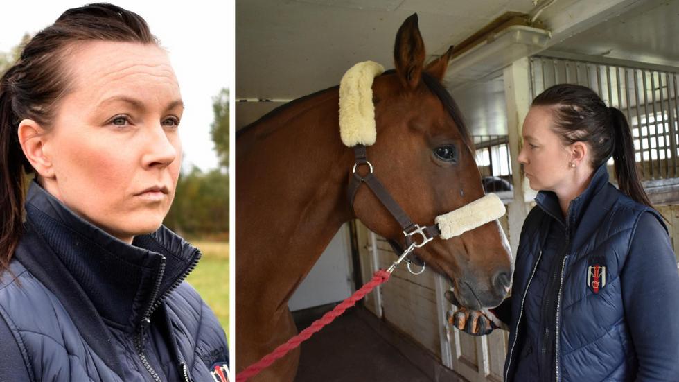 Åsa Karlsson fick besked om hästens dödsorsak på tisdagen. Bilden är tagen efter att hästen hittades död i en hage. 