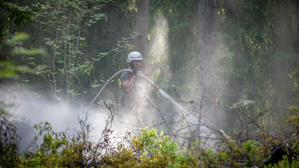 Brandmän släcker skogsbränderna som härjade i Mullsjö under 2021. 