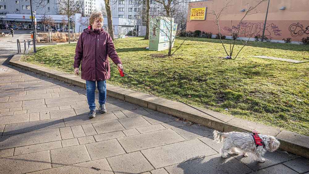 AFD-väljare: ”Tyskland har slutat bry sig om sina egna”