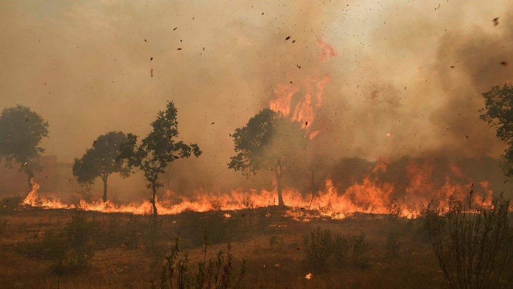 Skogsbrand i närheten av byn Pumarejo i norra Spanien tidigare i veckan.