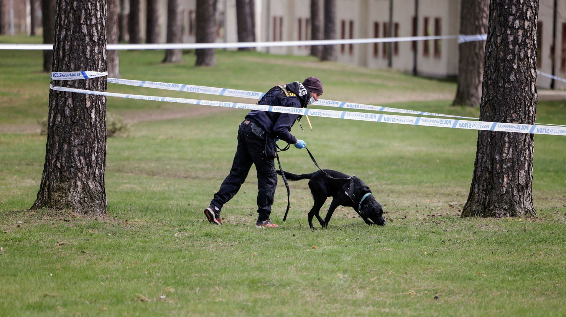 Skottlossning I Jordbro – En Man Skadad - DN.se