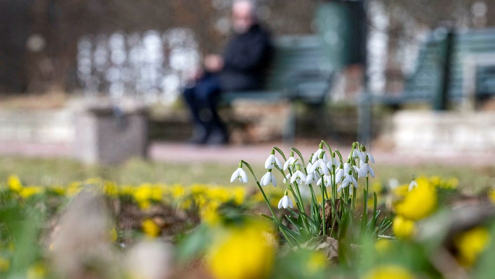 Våren på ingång – här kan det bli 15 grader på torsdag