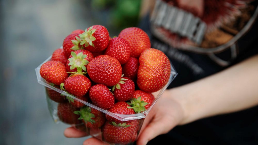 15 jordgubbsförsäljare kontrollerades – ingen hade tillstånd