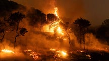 Området runt grekiska Alexandroupolis drabbades av den mest omfattande skogsbrand som har registrerats i Europa. Totalt brann 960 kvadratkilometer.