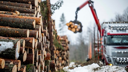 Skogsindustrin slår larm om brist på råvara. Skogsföretagen tar nu allt mer skog som de tidigare lämnat, enligt forskare DN tidigare pratat med.