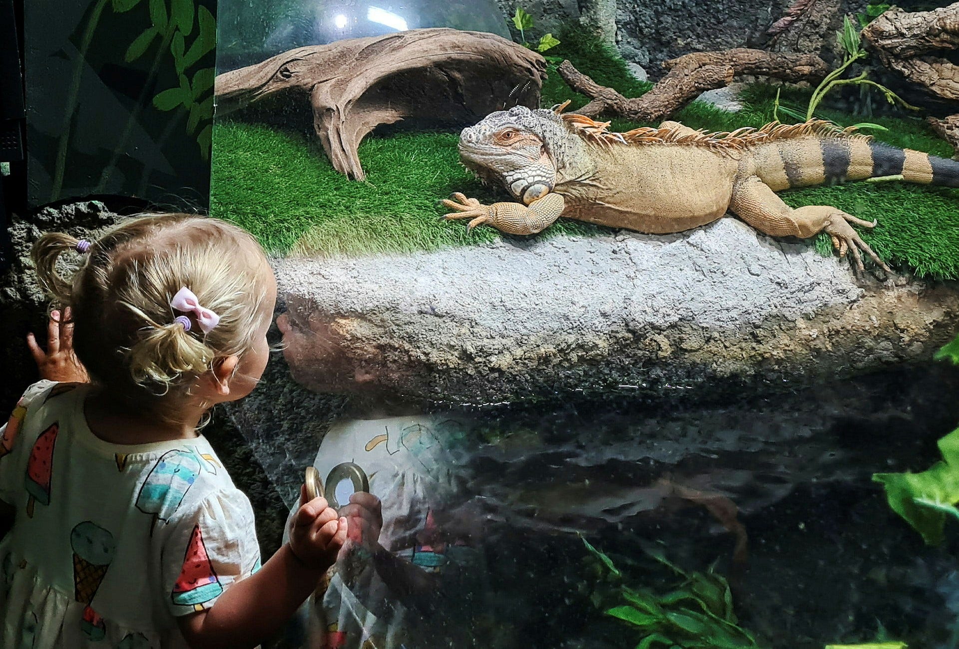 Det är härligt att se alla förskolebarns förtjusning när de upptäcker spännande djur på akvariet Sea Life.