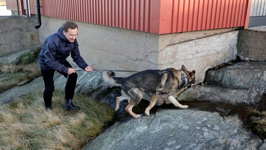 Hundägaren Ulf Kristersson passade på att lotsa reservhunden Pingo när han nosade fram en gömd vapendel ute på Galterö.