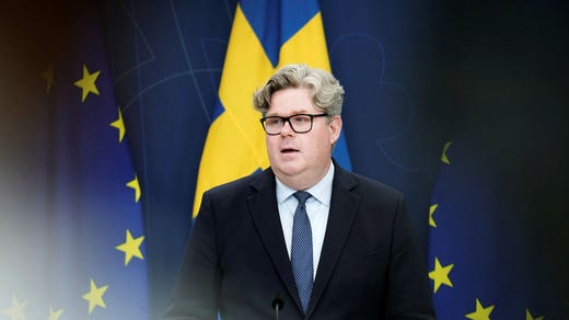 Justitieminister Gunnar Strömmer (M).