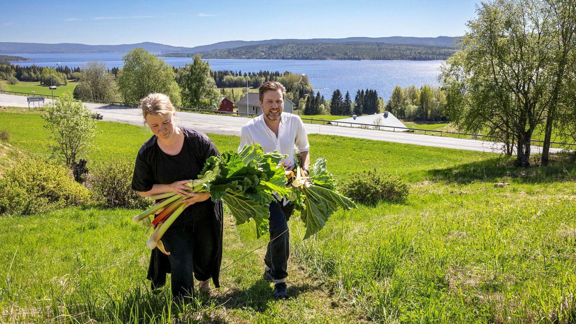 Therese och Tobias skördar säsongens första rabarber. I bakgrunden syns Kallsjön, som precis som namnet avslöjar är riktigt kall att bada i.