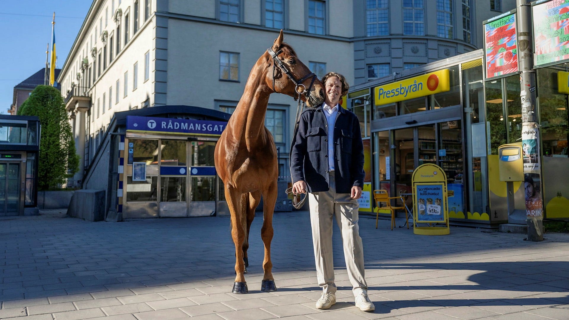 Svennerstål 更换了马鞍 – 在开始骑马生涯之前选择了 Handels